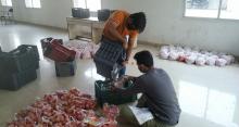 IT Employees packing the Tomatoes